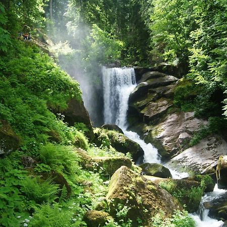 Rita - Atemberaubenden Wasserfaelle Triberg im Schwarzwald Zewnętrze zdjęcie